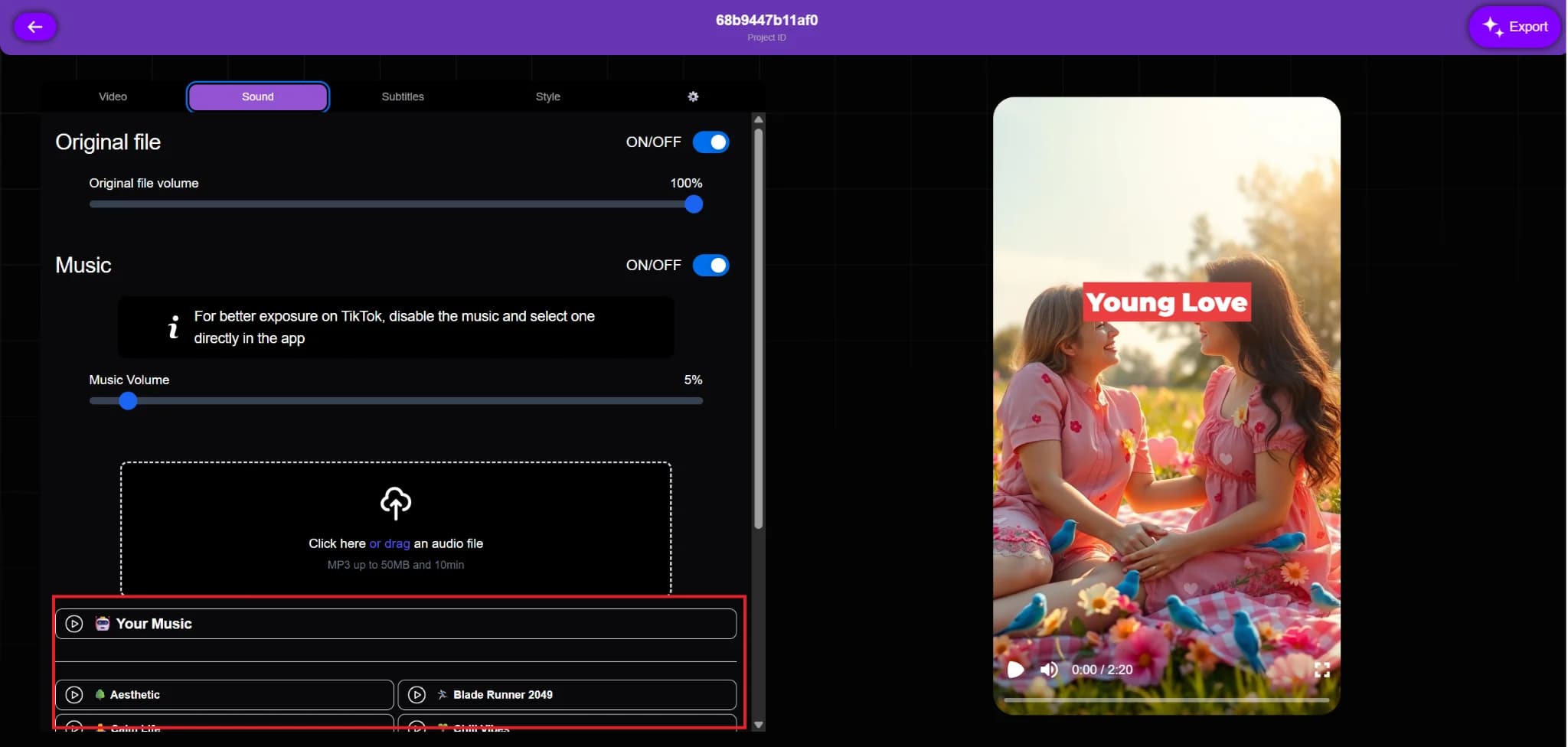Finalizing music adjustments in a Vexub video project