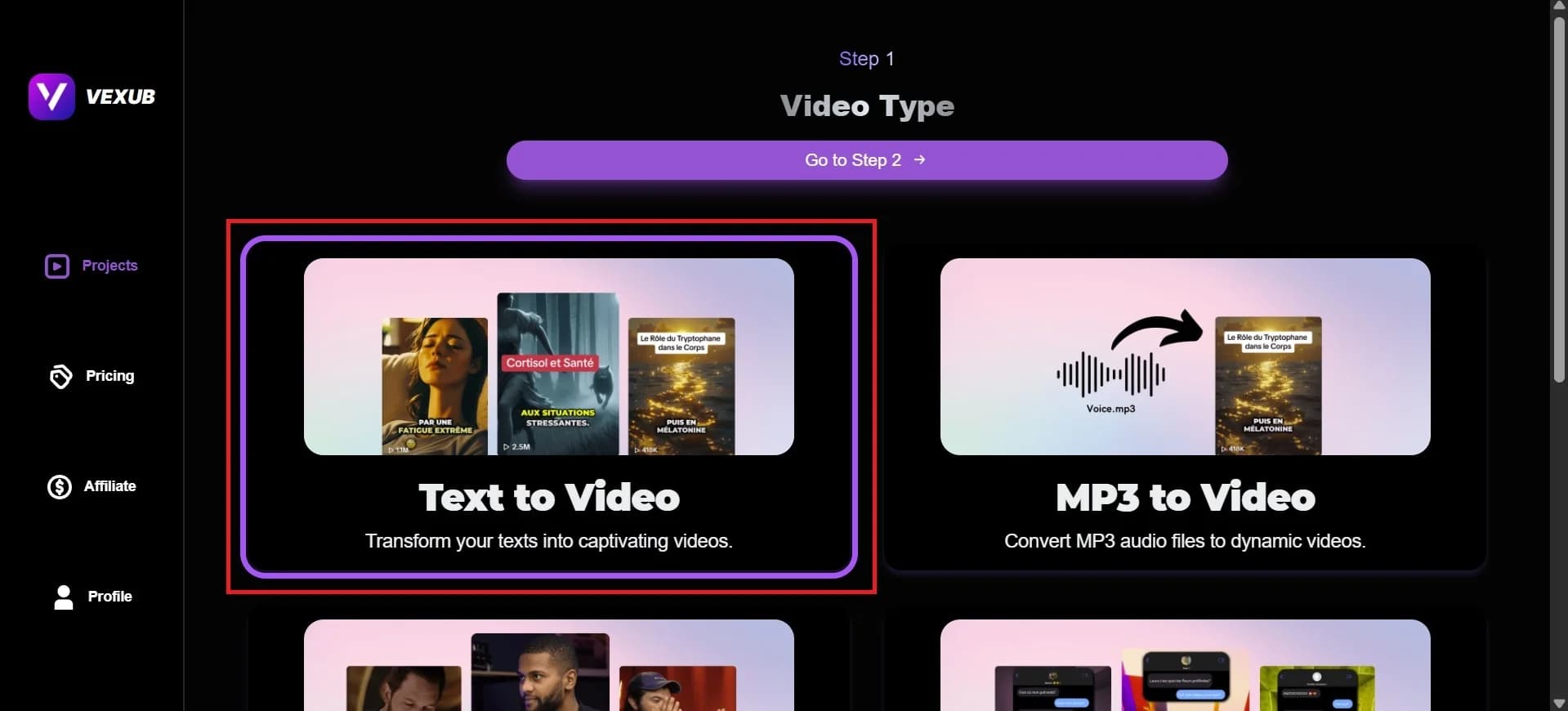 Format selection screen for custom image adjustments in Vexub.